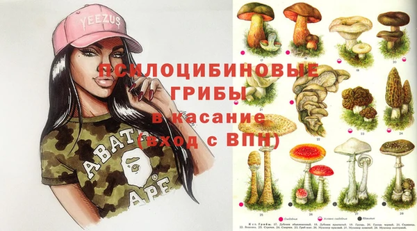 apvp Абаза