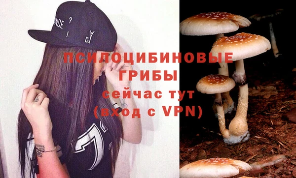 твердый Абинск