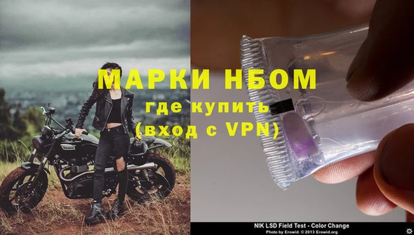 сатива Алзамай