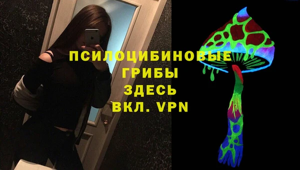 твердый Абинск